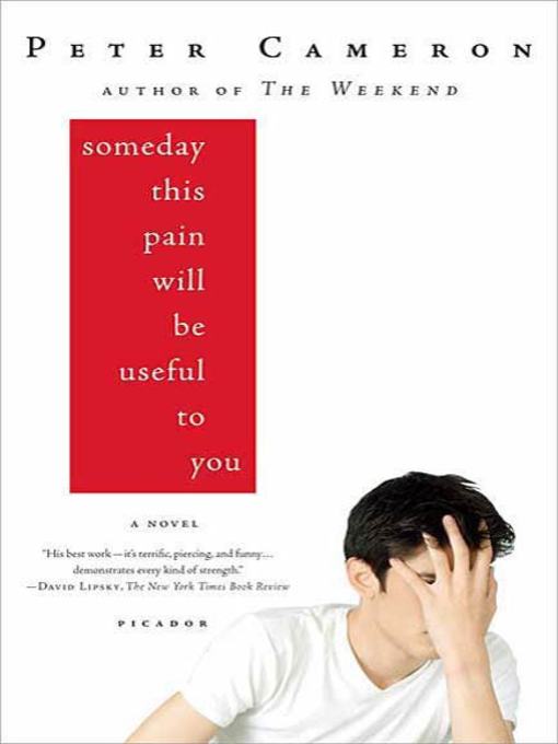 Title details for Someday This Pain Will Be Useful to You by Peter Cameron - Wait list
